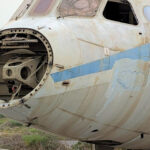 10 Tage Zypern, die Insel der Katzen & Zitronen