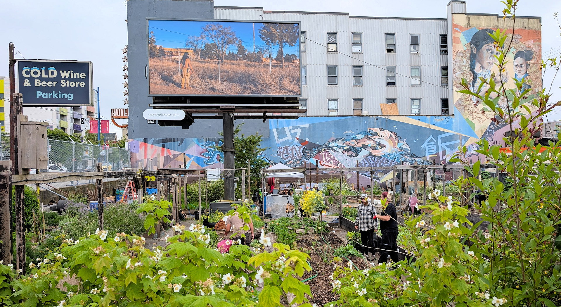Stadtgarten Community Garden der Uya’am Gaak in der East Hastings Street Vancouver