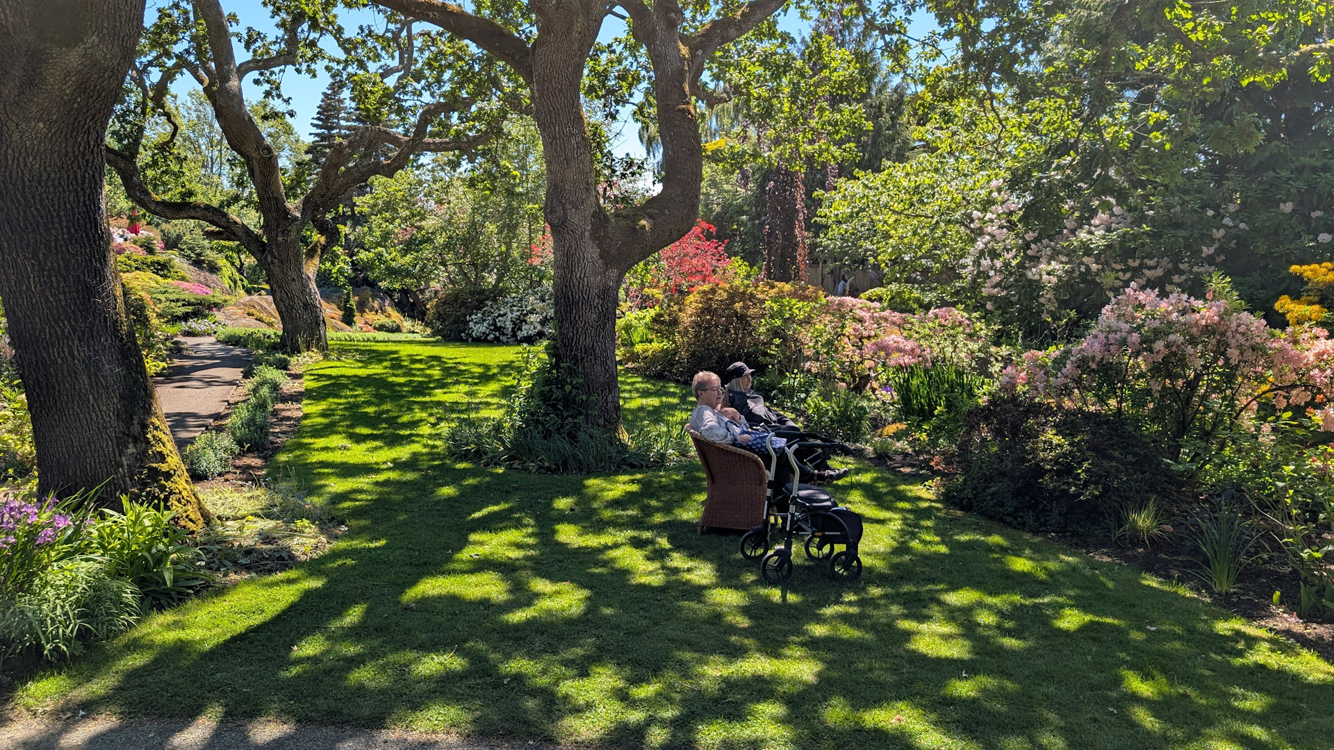 Zwei ältere Personen sitzen im Abkhazi Garden Victoria