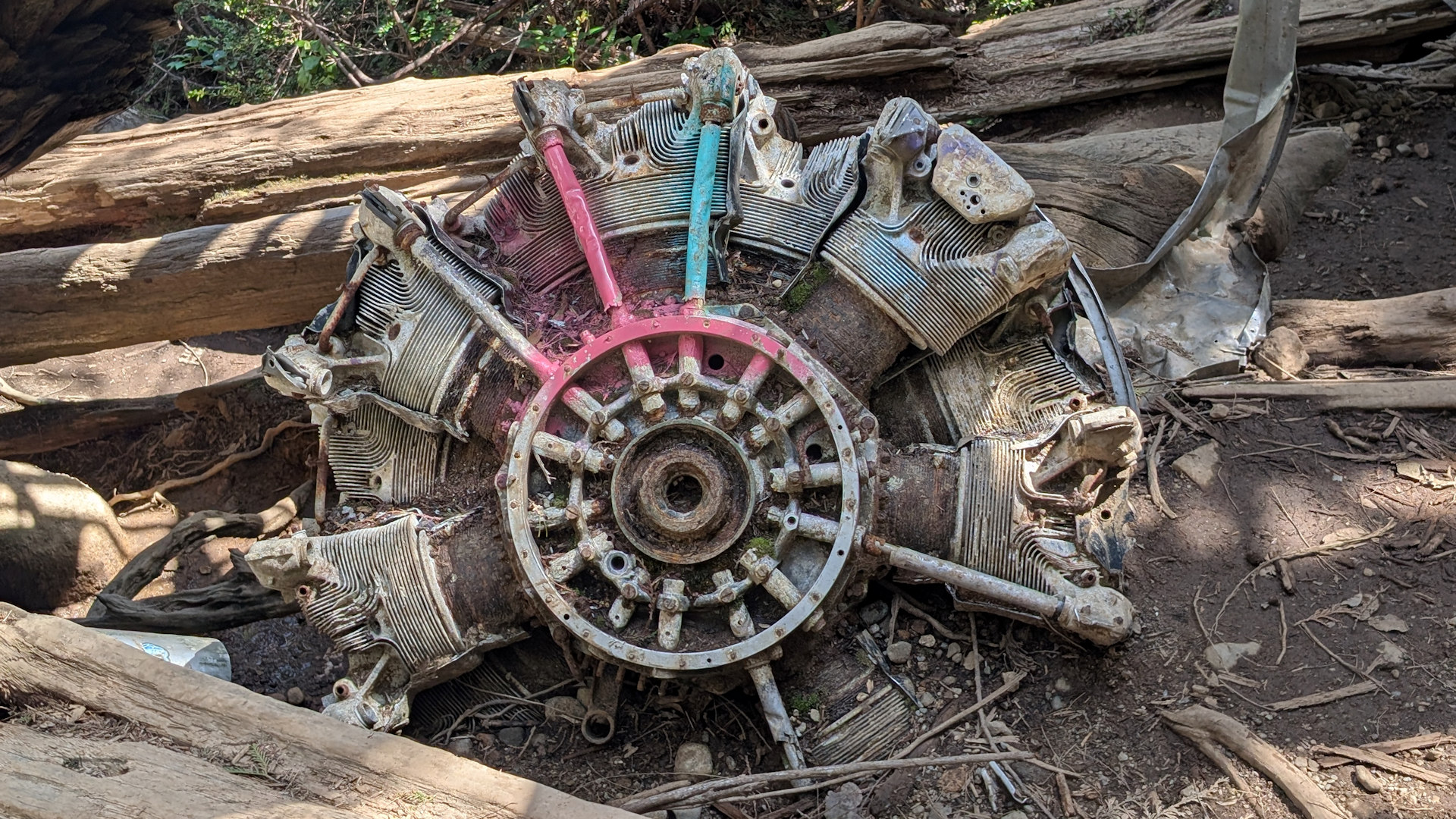 Motor vom Canso Wrack Vancouver Island