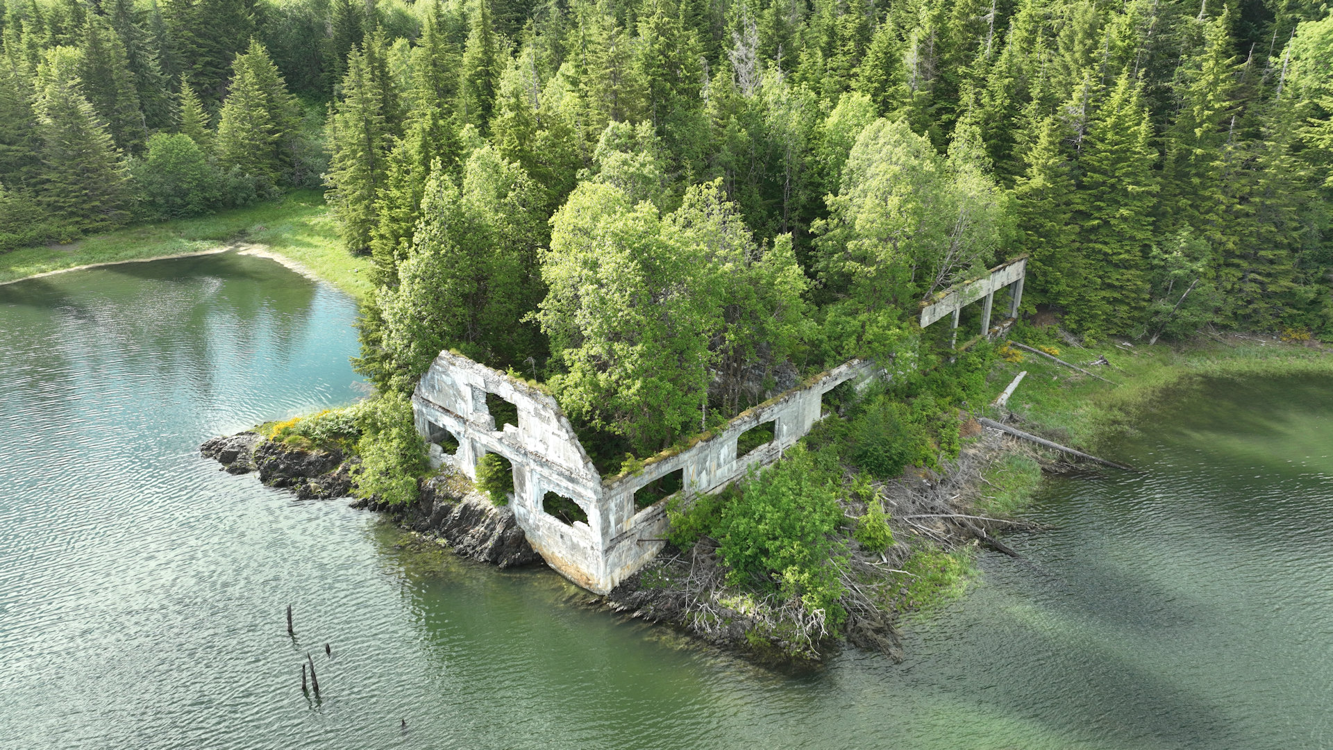 Haus Ruine in Anyox am Rand vom Wasser ohne Dach, in dem grüne Bäume wachsen