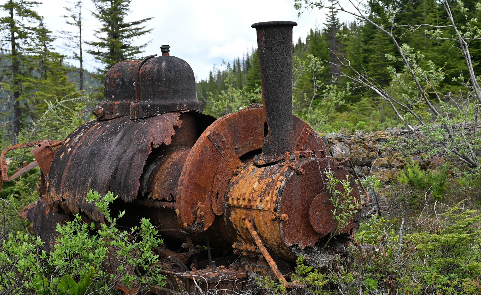 Verrostete Dampflokomotive in Anyox