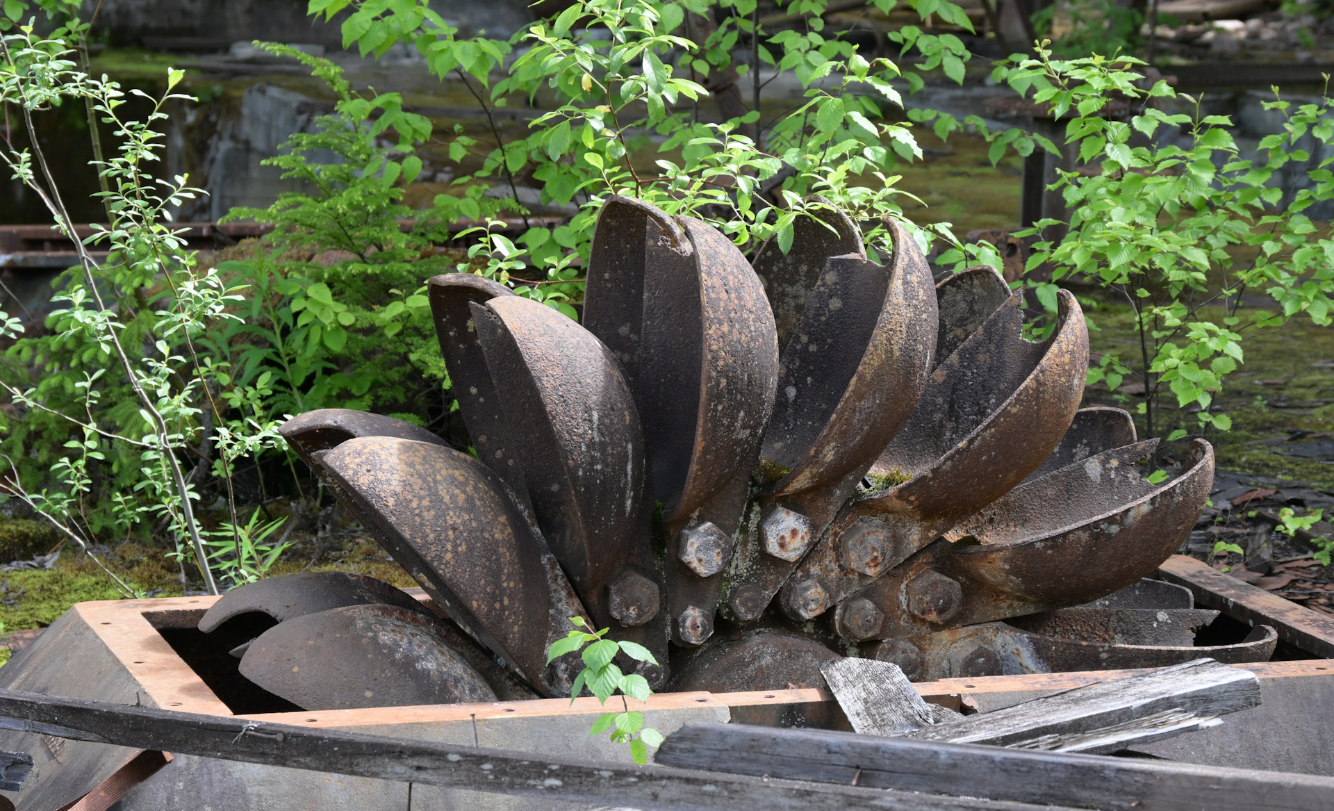 Alte Schaufelräder einer Turbine
