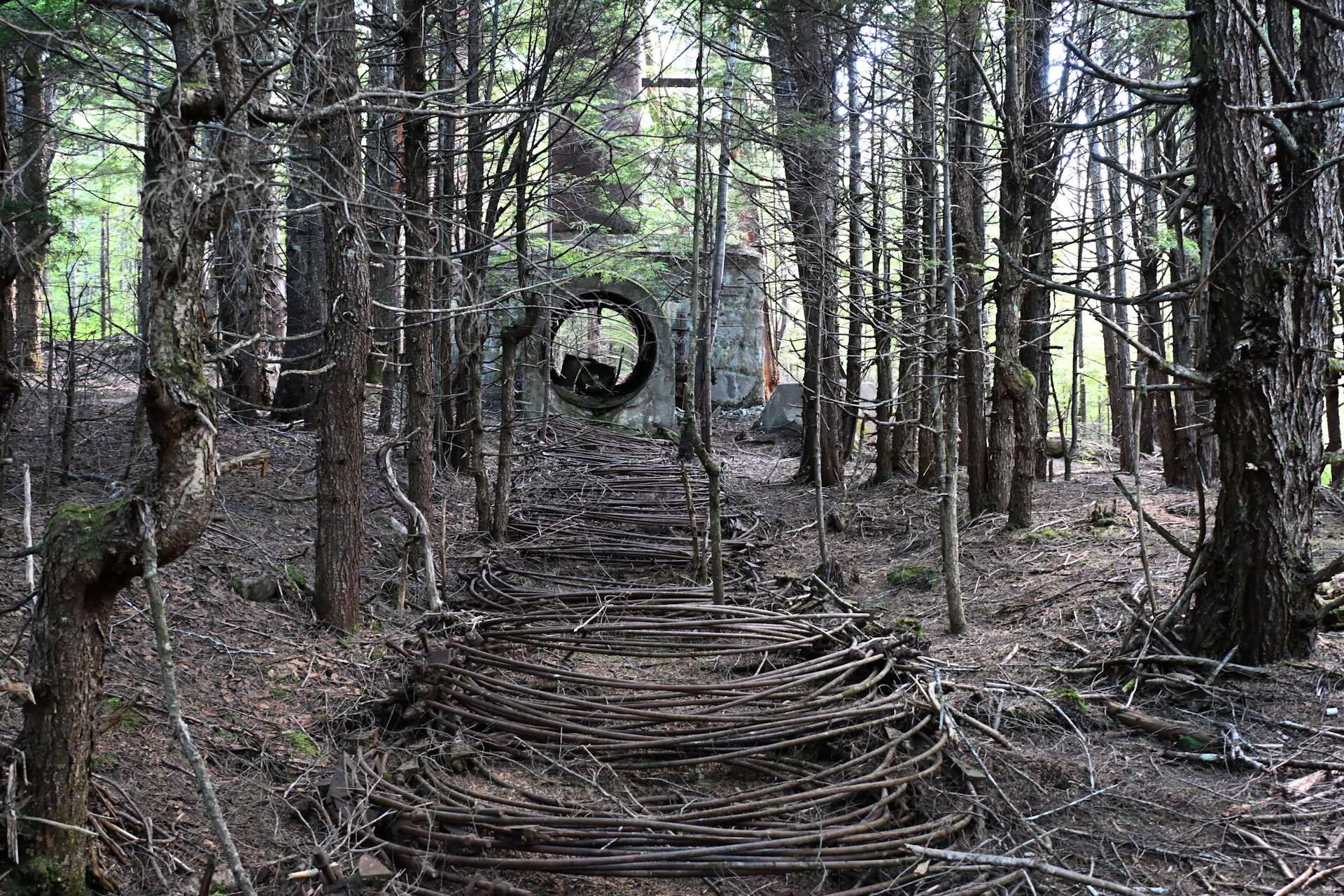 Rostige Stahlringe liegen in einem Wald, wo früher eine Wasserleitung aus Holz war