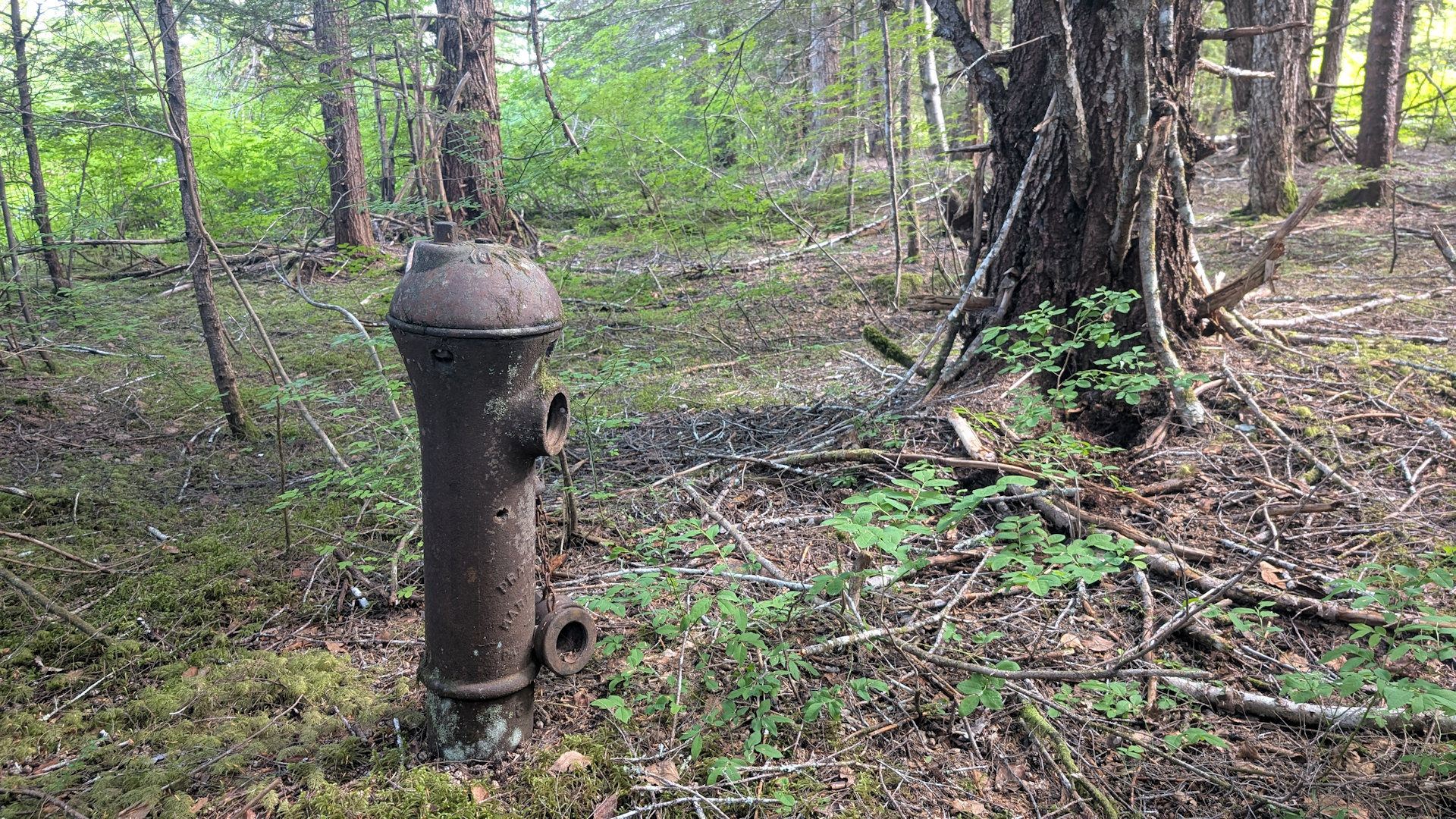 Antiker Hydrant im Wald von Anyox