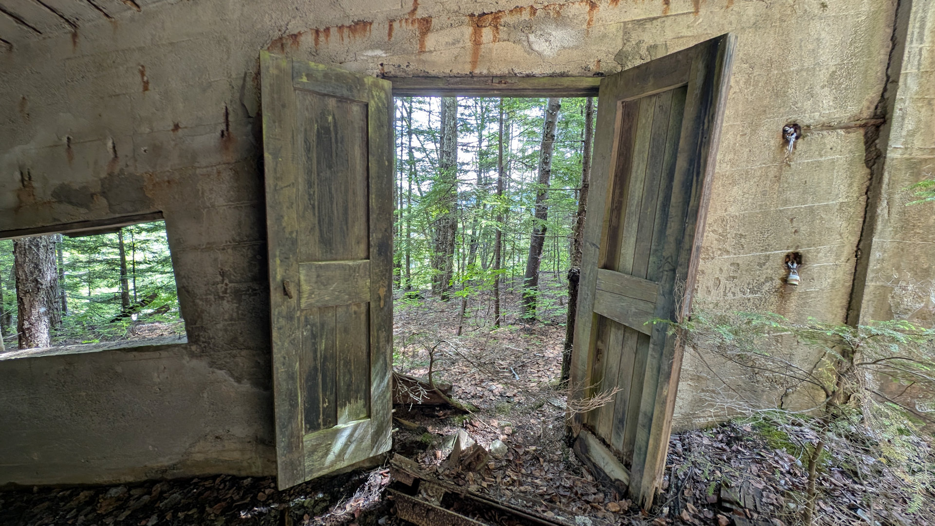geöffnete Holztür in einer Ruine in Anyox mit grünem Wald im Hintergrund