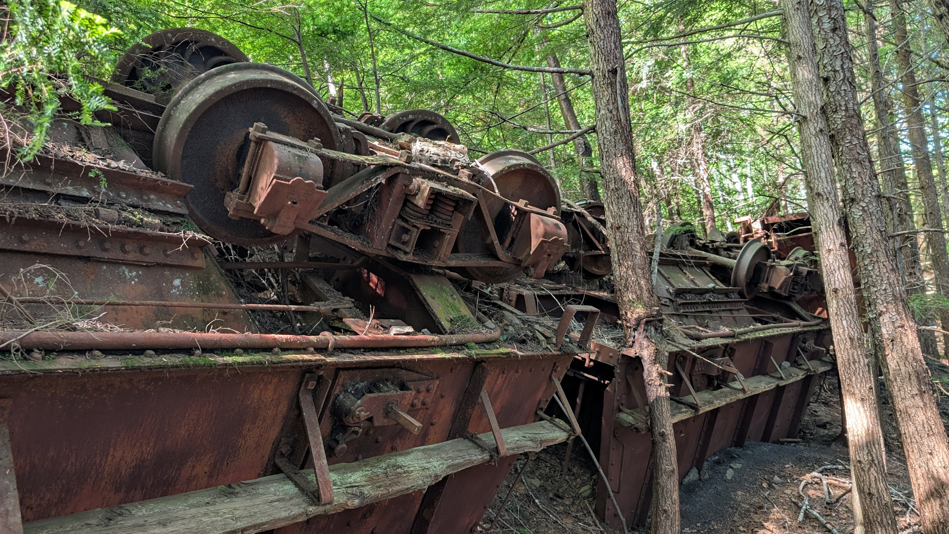 Umgekippter Güterzug im Wald von Anyox mit nach oben zeigenden Rädern