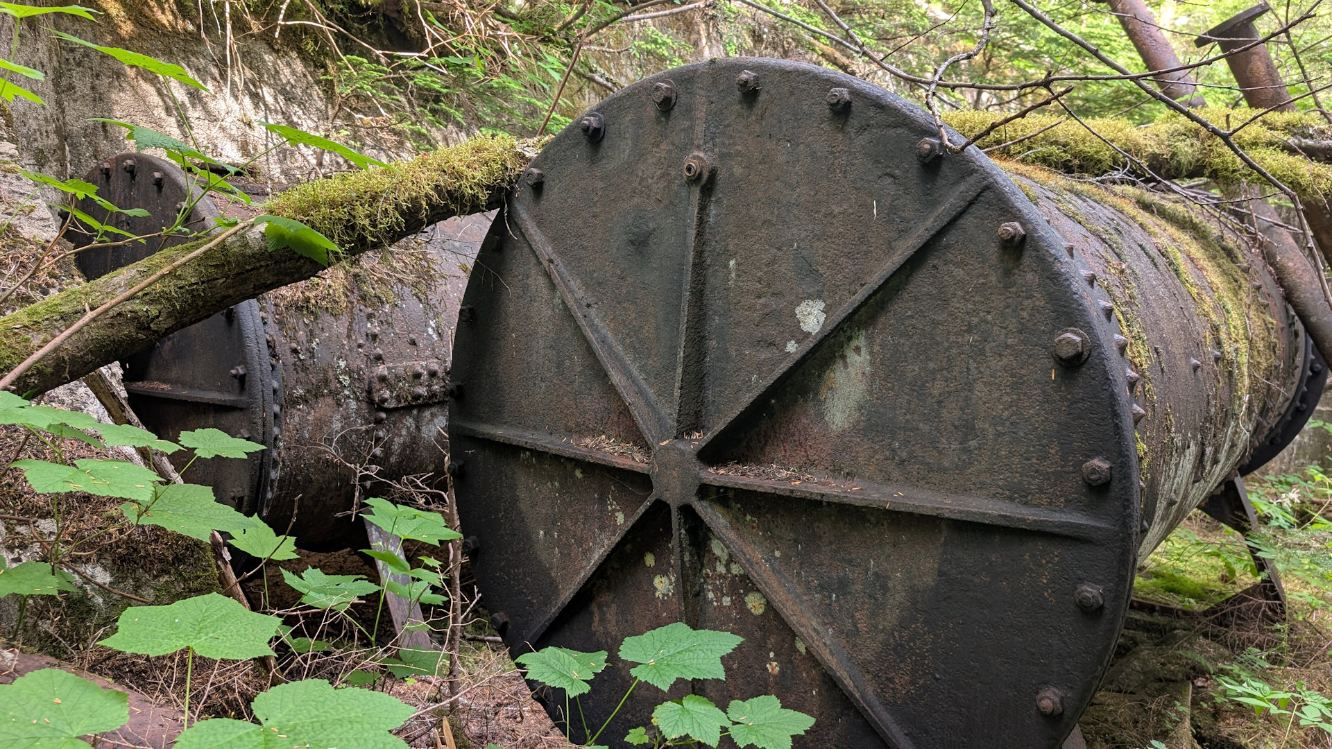 Zwei flach im Wald liegende schwarz rostige Kessel