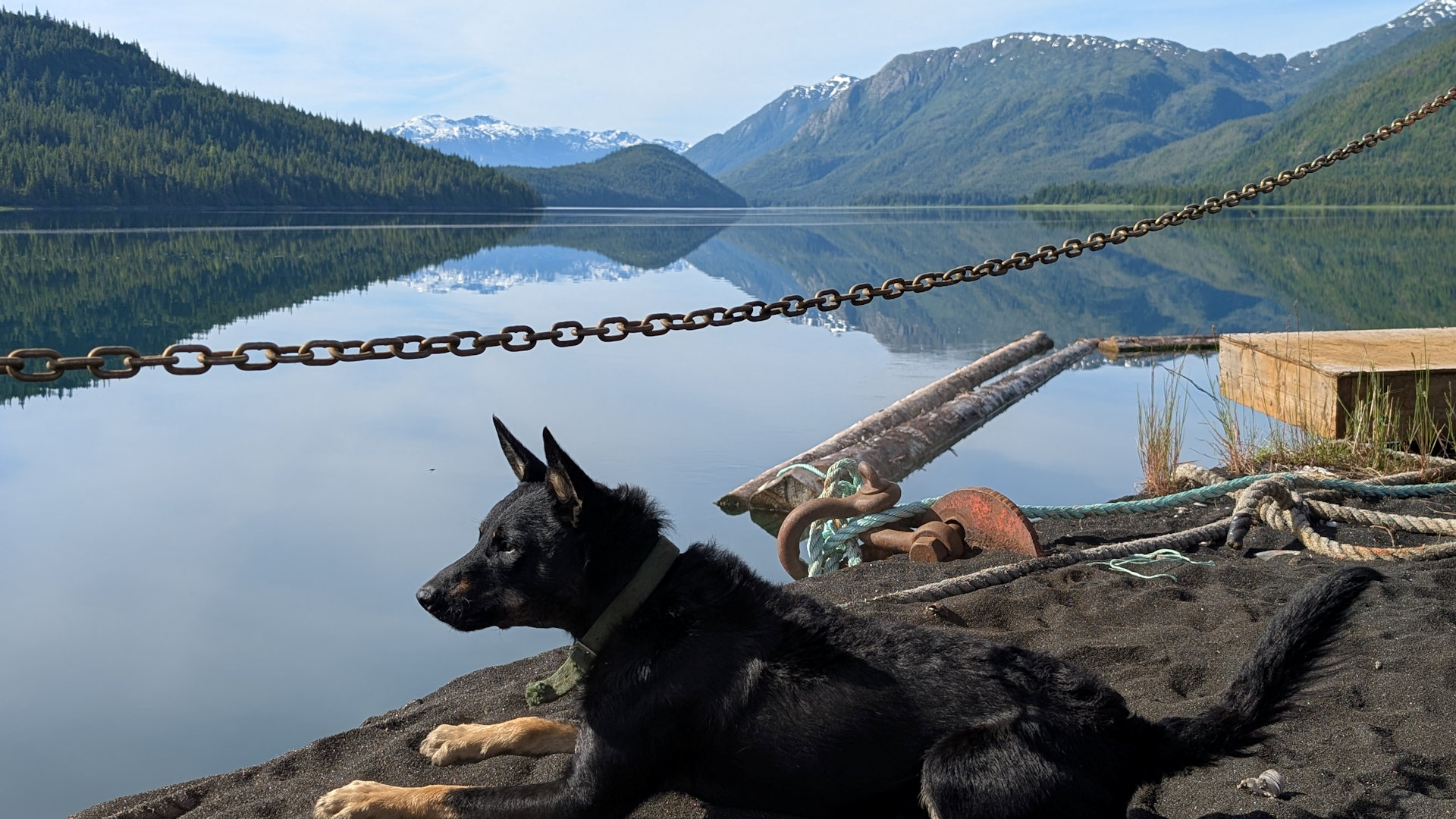 Schwarzer Hund in Anyox auf der mit schwarzem Sand bedeckten Verladeplattform, bei spiegelglatter See und Bergen im Hintergrund