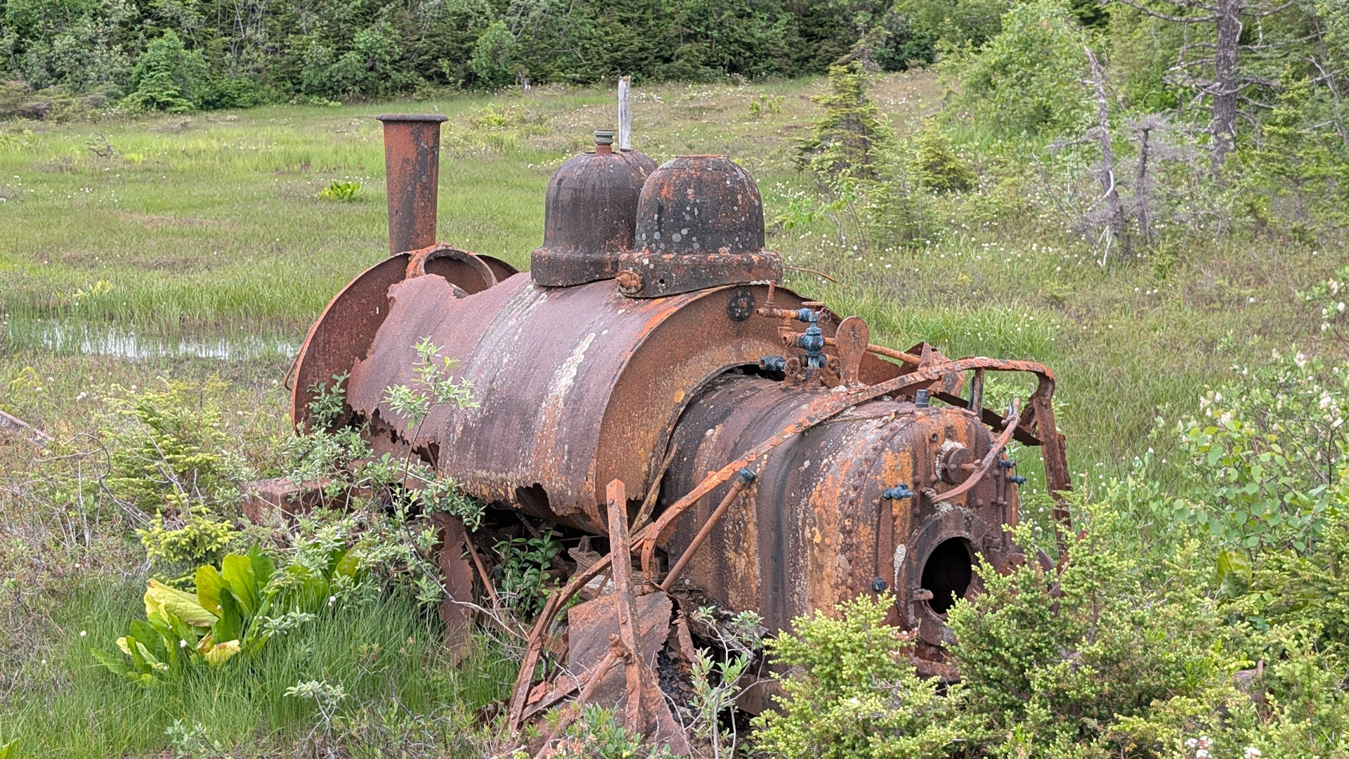 Verrostete Dampflokomotive in Anyox auf einer nassen Wiese