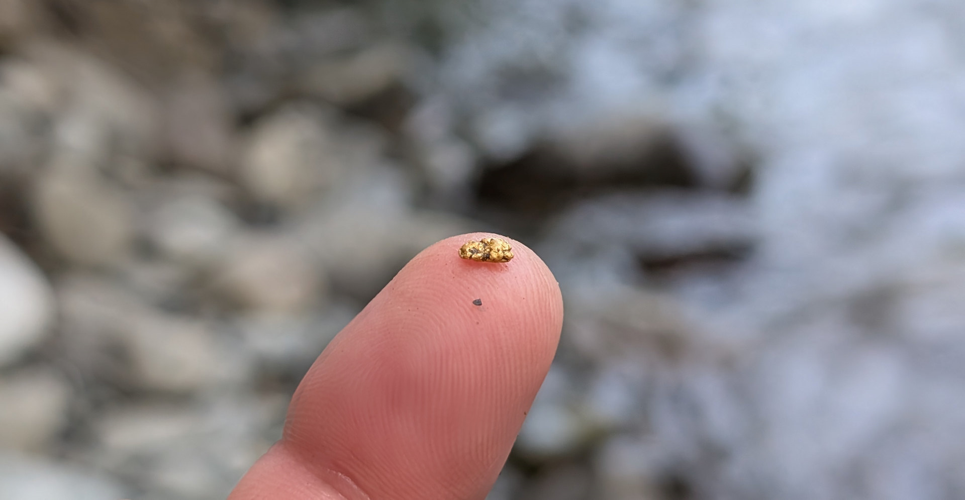 Kleines Goldnugget auf einer rosa Fingerspitze 