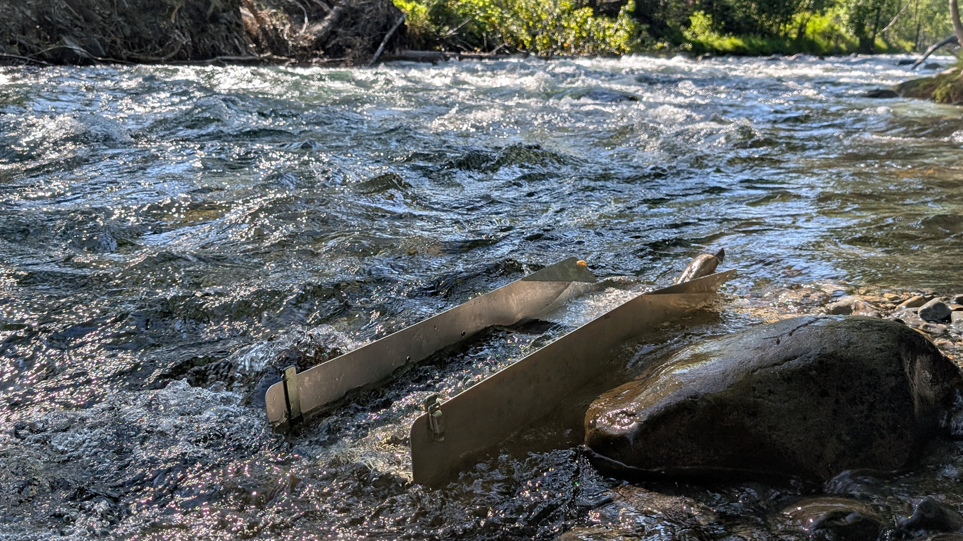 Goldwaschrinne im Resurrektion Creek  Hope 
