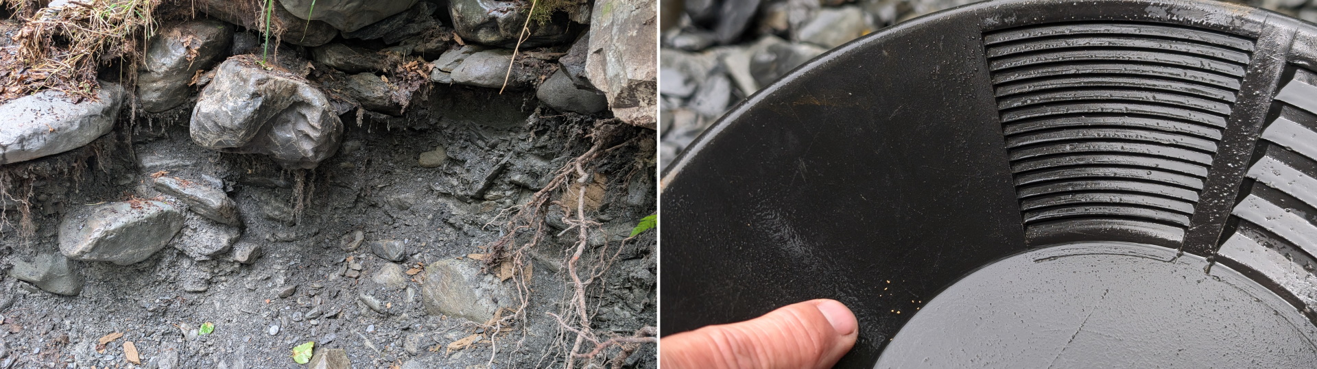 Bertha Creek Alaska mit Goldwaschschüssel in der kleine Goldkörner schimmern 