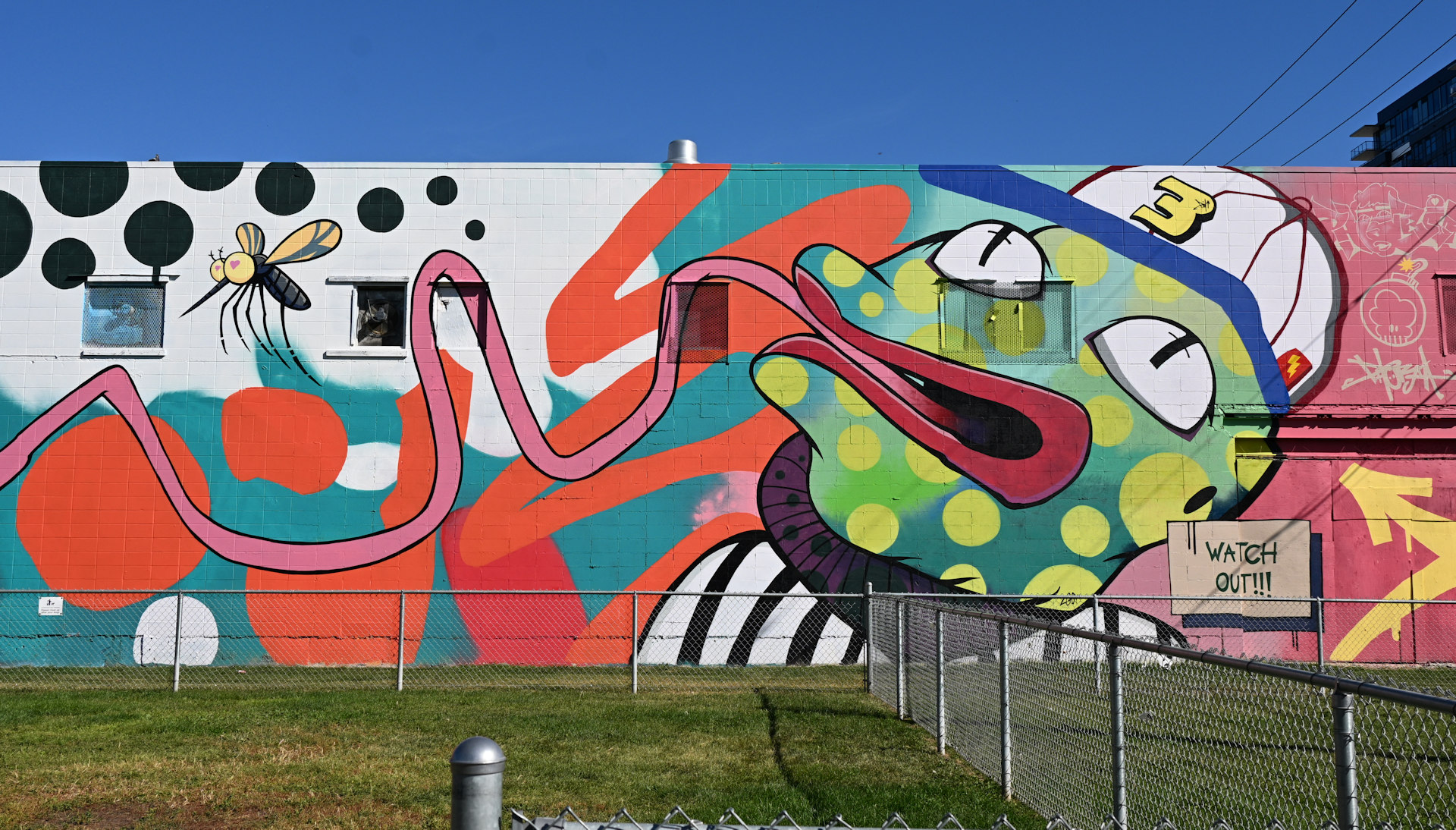 "Love Bug" Graffiti von Marcus Coldeway, welches einen Frosch mit Käppi zeigt der mit langer Zunge nach einer Mücke schnappt