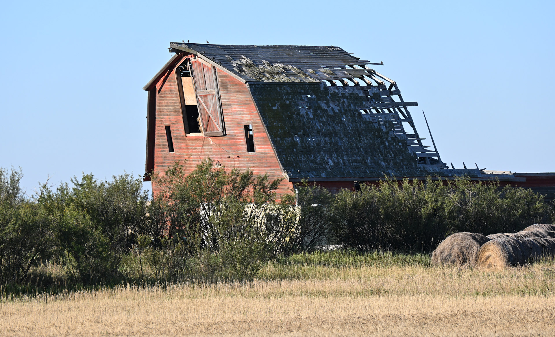 Schief stehende Ruine einer Scheune aus Holz 