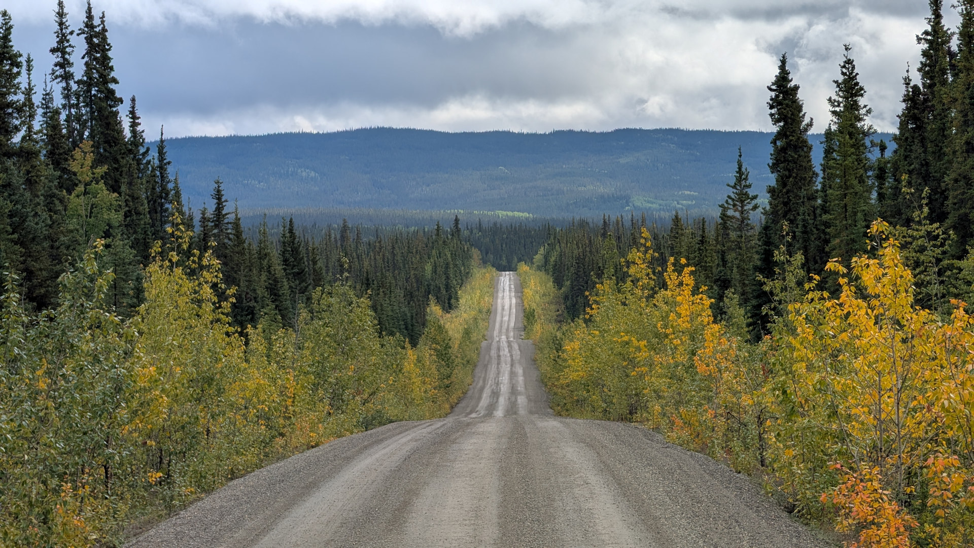 Langgezogene Piste in Kanada mit seitlich wachsenden Bäumen 