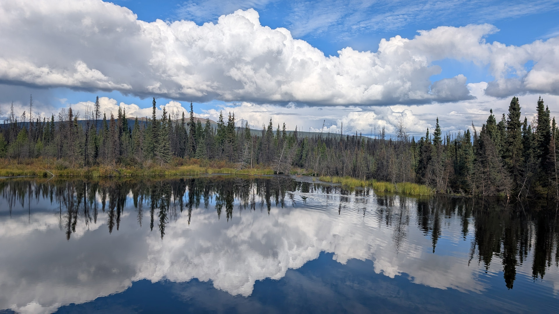 Weisse Wolken spiegeln sich in einem See in Kanada 