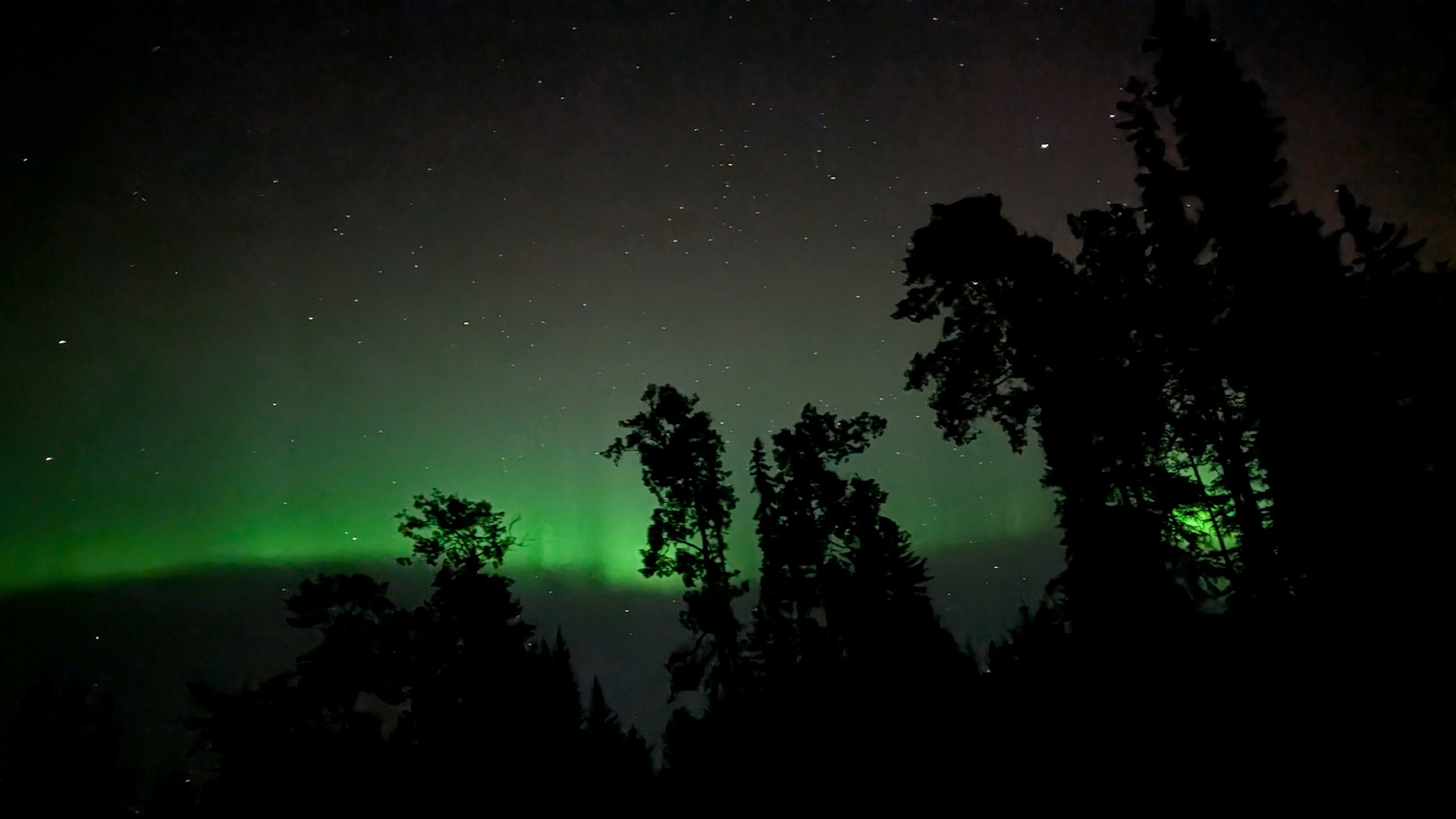 Grüne Nordlichter oder Polarlichter in Kanada 