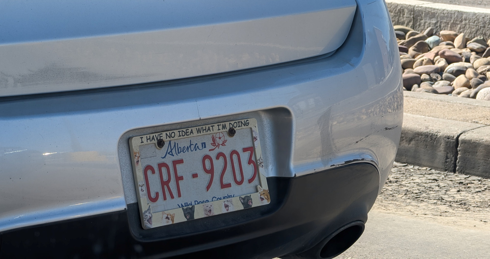 Nummernschild aus Alberta mit dem Zusatz I have no idea what I'm doing